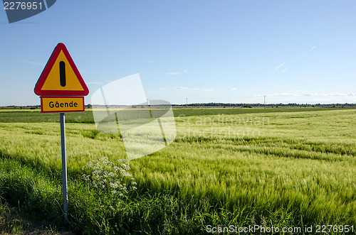 Image of Pedestrian warning