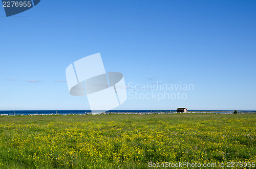 Image of Blue and yellow landscape