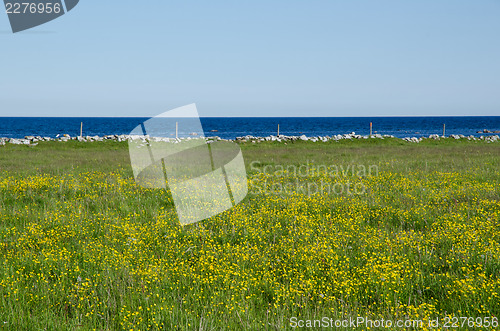 Image of Blue and yellow view