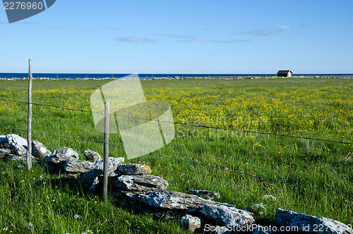 Image of Coastal view