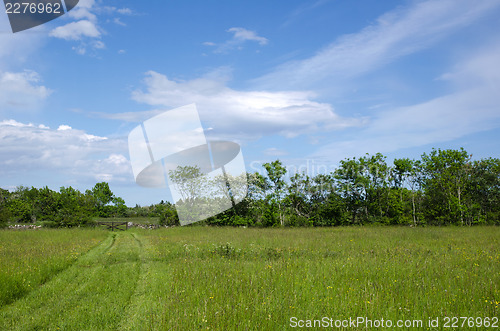 Image of Green path towards a gate