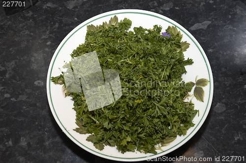 Image of Chopped Parsley