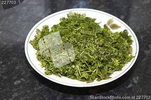 Image of Chopped Parsley