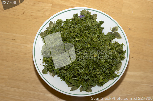 Image of Chopped Parsley