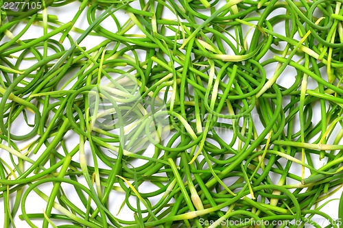 Image of Background of fresh garlic scape