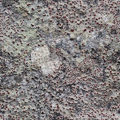 Image of Rock with lichen seamless pattern for design