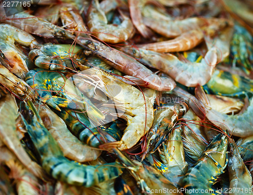 Image of Shrimps on the market counter