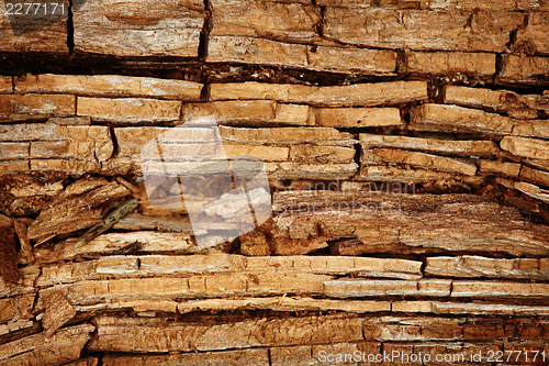 Image of Rotten wood background