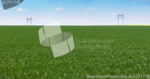 Image of Meadow and power lines - industrial landscape