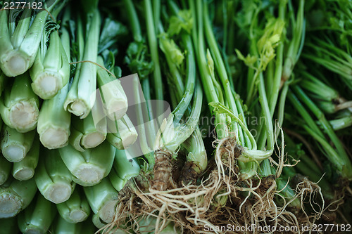 Image of Vegetables and herbs on the market closeup