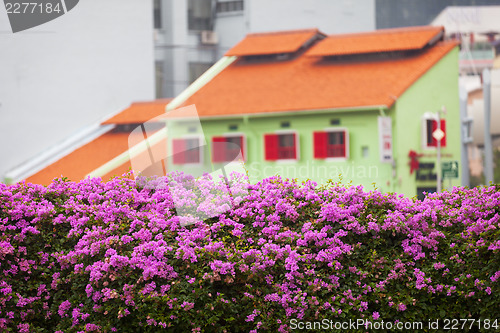 Image of Usual old-fashioned architecture in Singapore