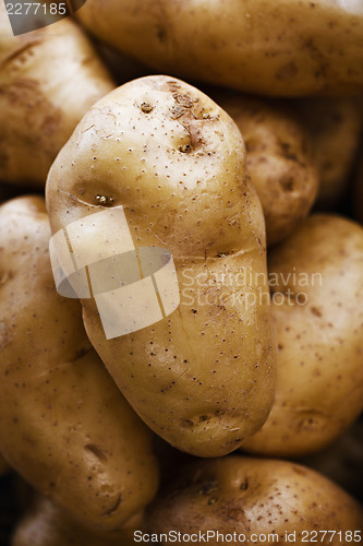 Image of Large potatoes at the market close up