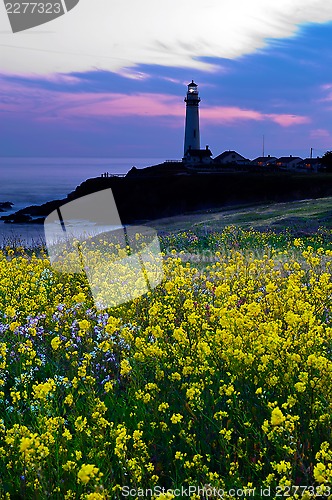 Image of Pigeon Point Light House