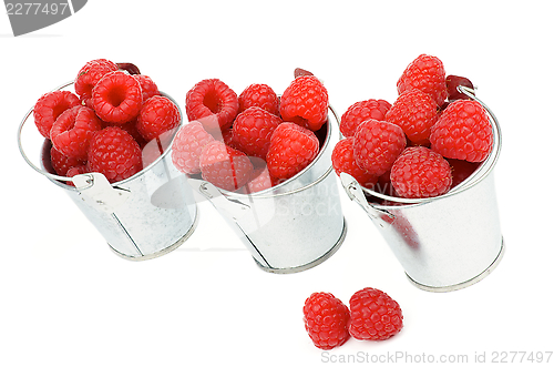 Image of Buckets with Raspberries