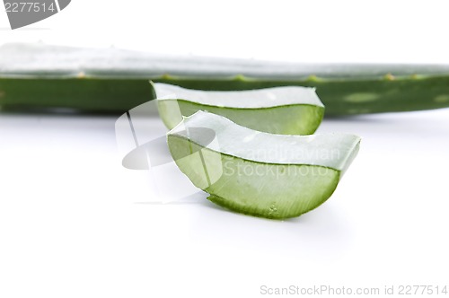 Image of Aloe vera - herbal medicine 