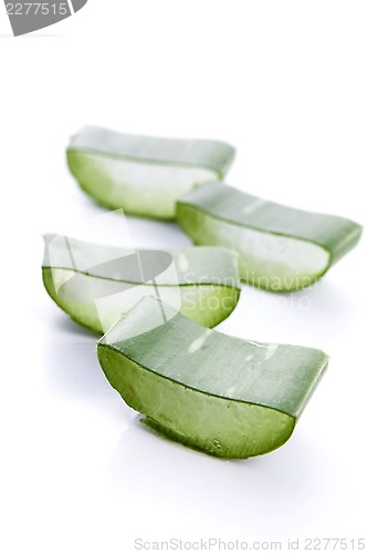 Image of Aloe vera - herbal medicine 