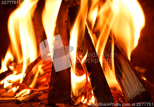 Image of firewood burning in fire