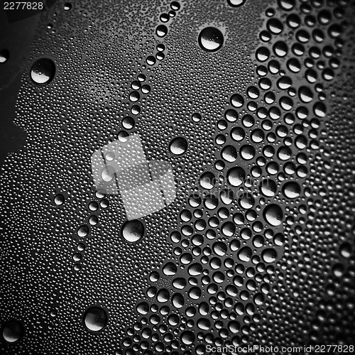 Image of Water drops on black