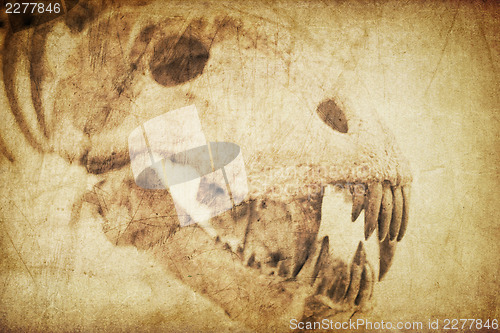 Image of Spooky skull diabolical creatures. Vintage styled background