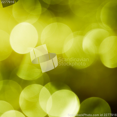 Image of Green spring bokeh 