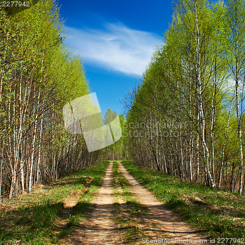 Image of Country road under blue sky 