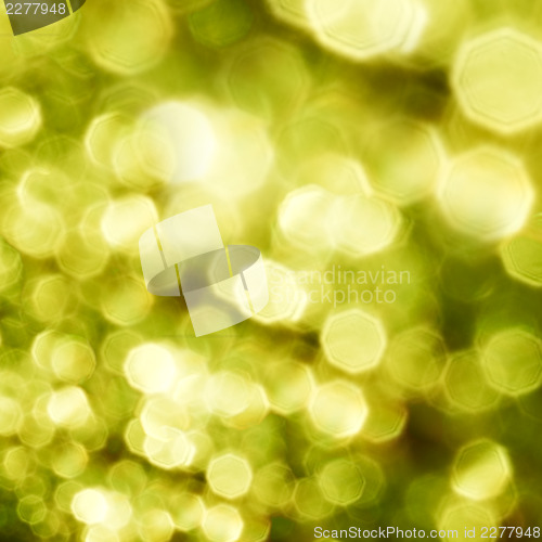 Image of Beautiful nature green bokeh background