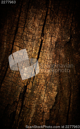 Image of Old wood cracked texture 