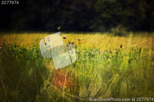 Image of Clover flowers on meadow. Vintage styled shot