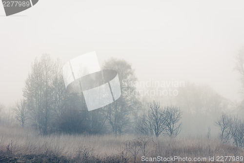 Image of Misty Morning on the River