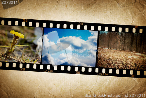 Image of Nature photo with film strip on vintage background.