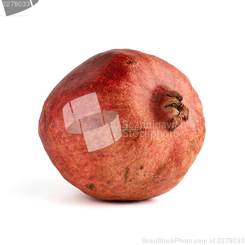 Image of One pomegranate, looks natural, without correction microdamage. 