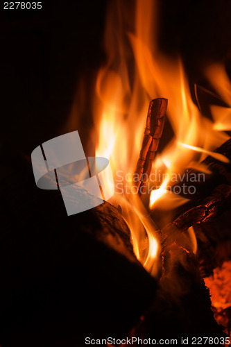 Image of Closeup burning fire woods