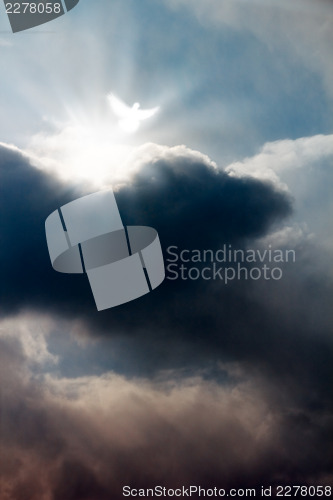 Image of White dove in dramatic sky