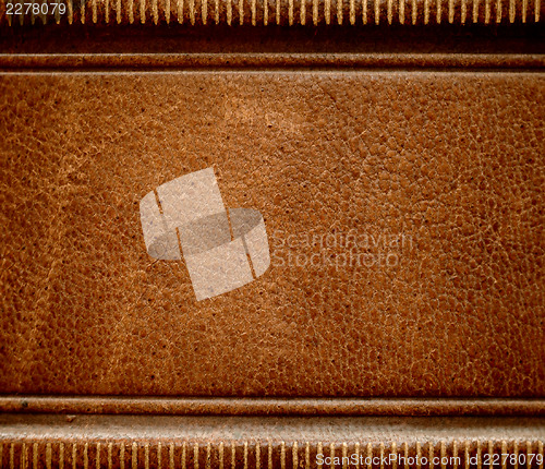 Image of Antique leather book spine cover.