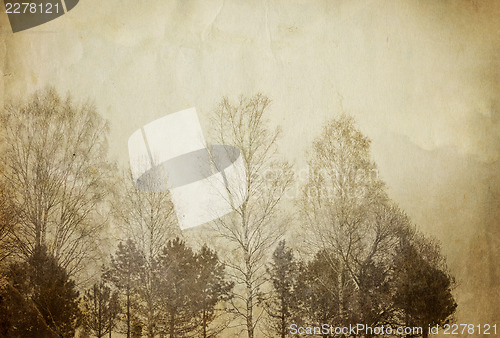 Image of Trees on vintage paper sheet.