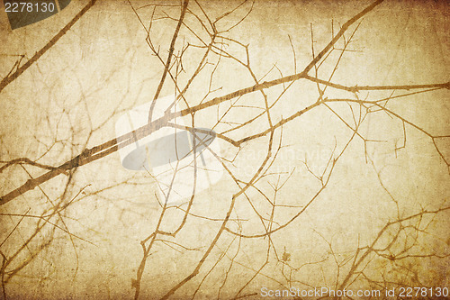 Image of Vintage branches abstract background