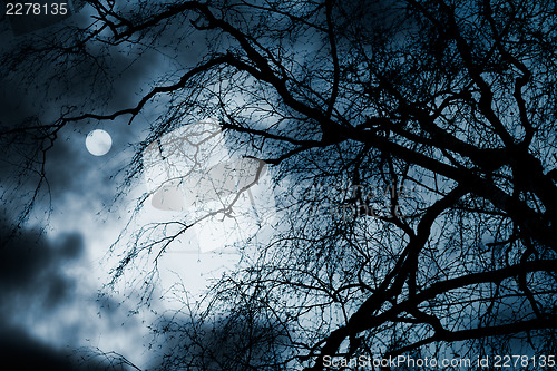 Image of Scary dark scenery with naked trees, full moon and clouds