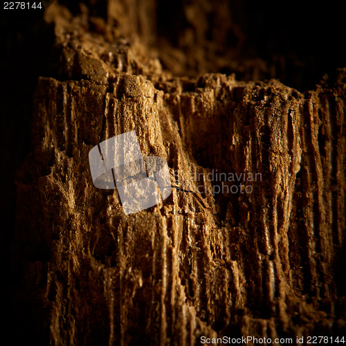 Image of Old wood cracked texture