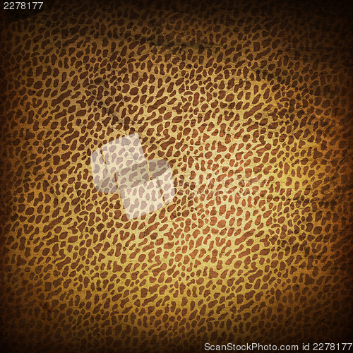 Image of Leopard Skin Retro Background