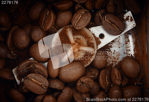 Image of Coffee grains processing