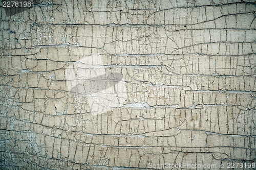 Image of Old cracked painted wood