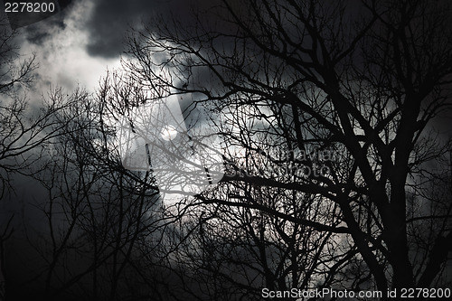 Image of Halloween abstract scenery. Full moon behind forest silhouette.