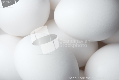 Image of Eggs solid background