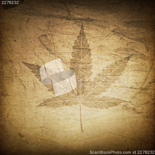 Image of Cannabis leaf grunge background
