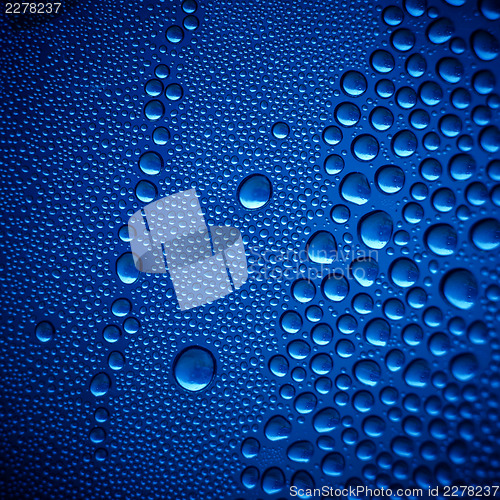 Image of Blue Water Drops