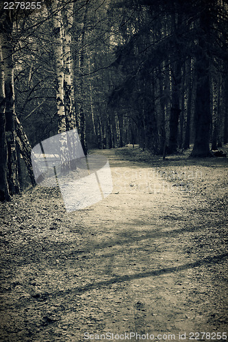 Image of Path in park, vintage toned