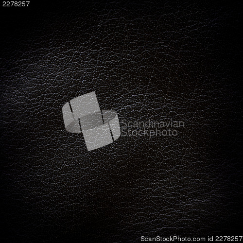 Image of Black leather background