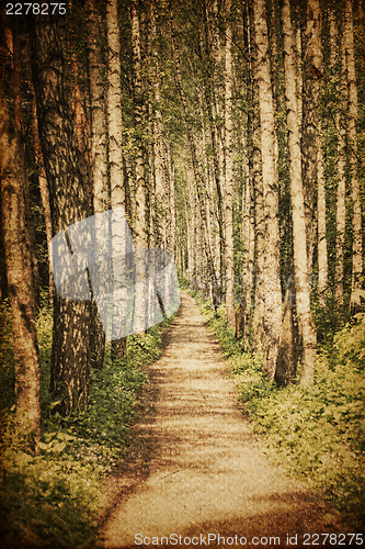 Image of Grunge rural road