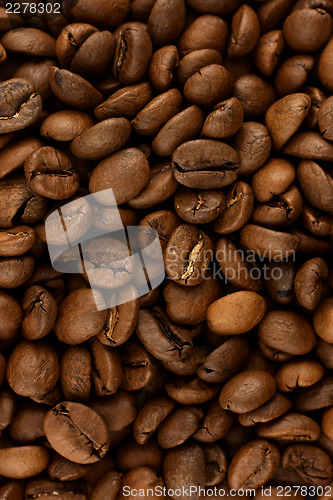 Image of Coffee background vertical orient