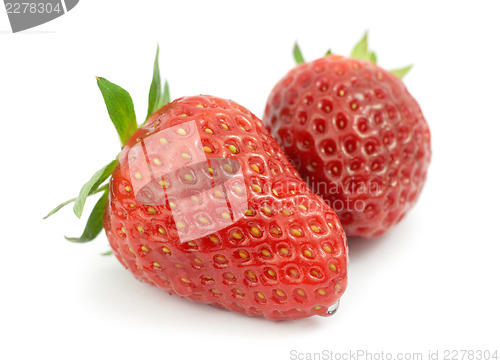 Image of Two strawberries